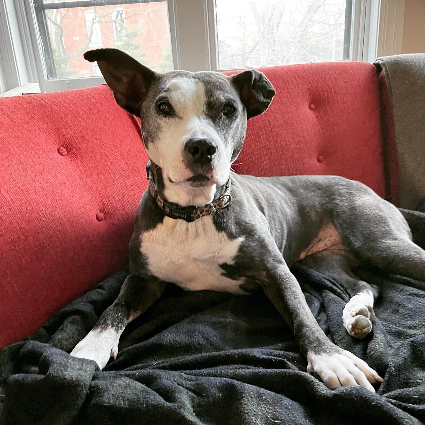 The Best of It: Astrid’s Best Life Edition